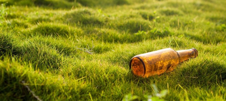 Eine Braune Bierflasche liegt in der Wiese