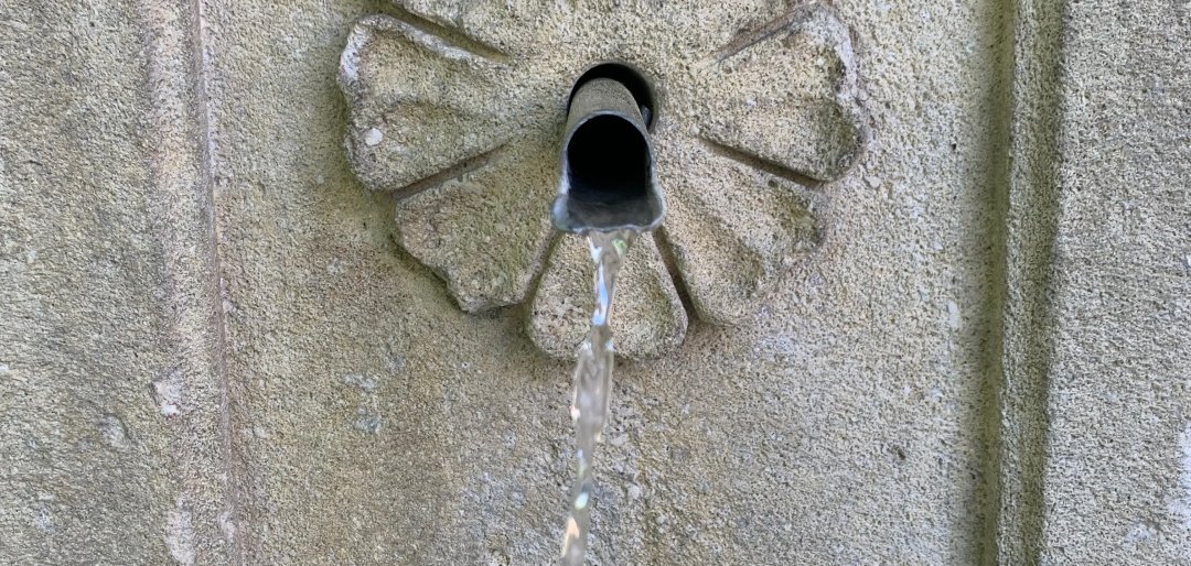 Schlossbrunnen Brochenzell mit Schloss und blühenden Kastatanienbäumen