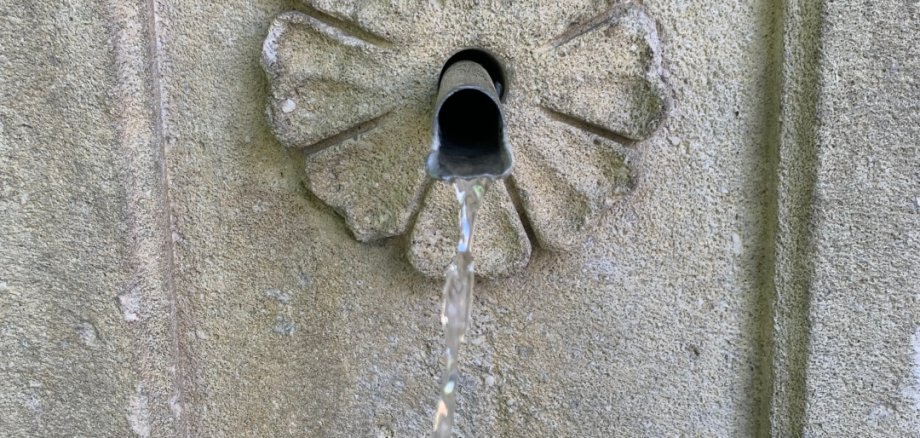 Schlossbrunnen Brochenzell mit Schloss und blühenden Kastatanienbäumen