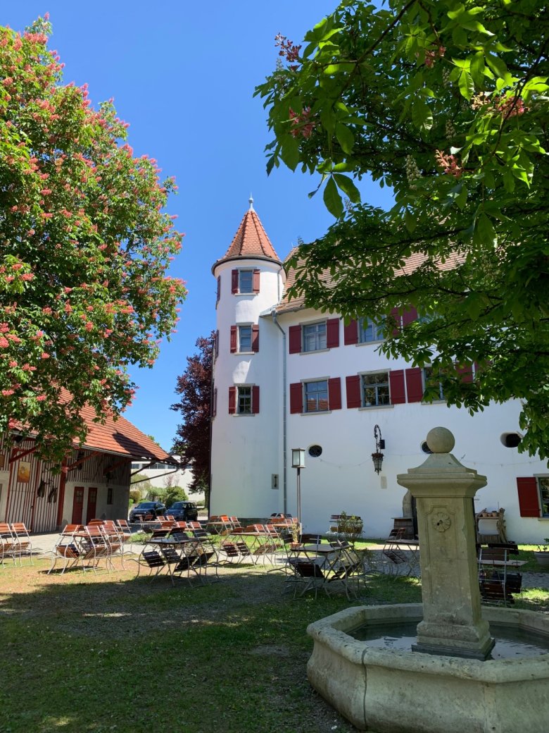 Schlossbrunnen Brochenzell mit Schloss und blühenden Kastatanienbäumen