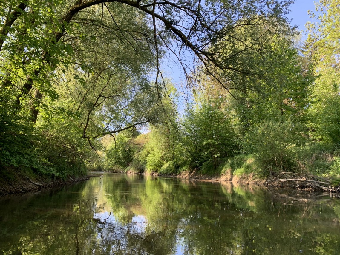 Der Fluss Schussen mit Bäumen am ufer