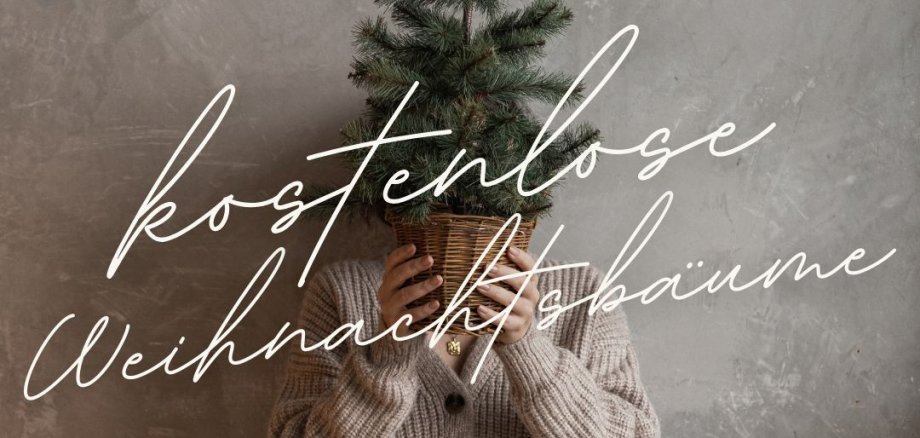 Creme dunkelgrün festlich fotografisch weihnachtsbaum Frohe Weihnachten WhatsApp - 1 Creme dunkelgrün festlich fotografisch weihnachtsbaum Frohe Weihnachten WhatsApp - 1