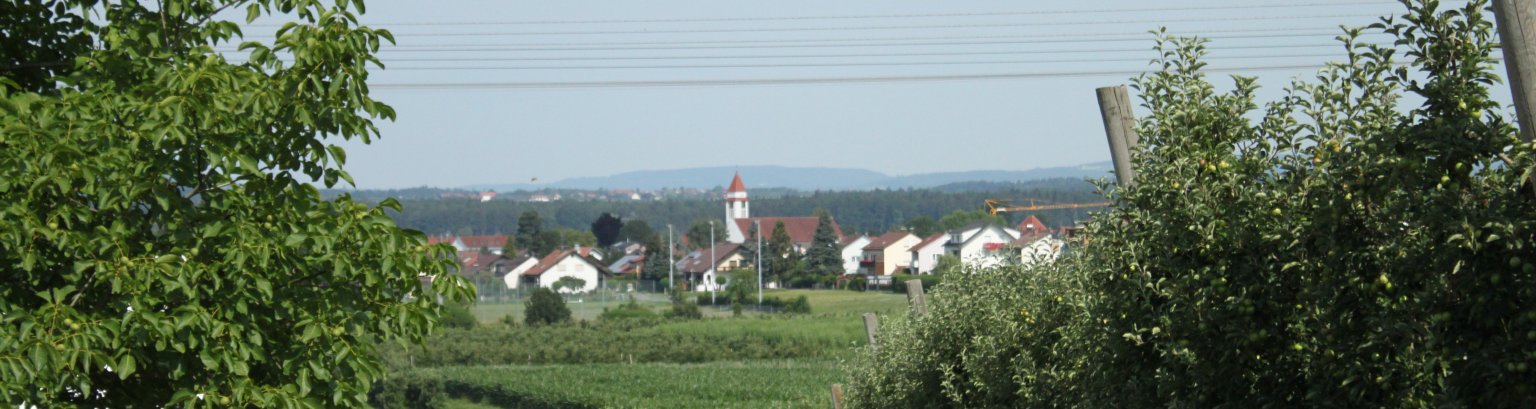 Panorama Meckenbeuren Kirche Alpen.jpg