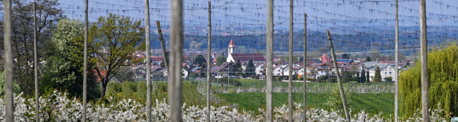 Fasnet Brochenzell Narren_neu.jpg