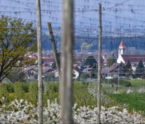 Fasnet Brochenzell Narren_neu.jpg