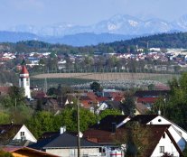 Panorama Meckenbeuren Kirche Alpen.jpg