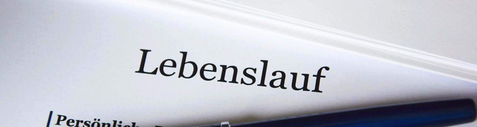 bild7.jpg